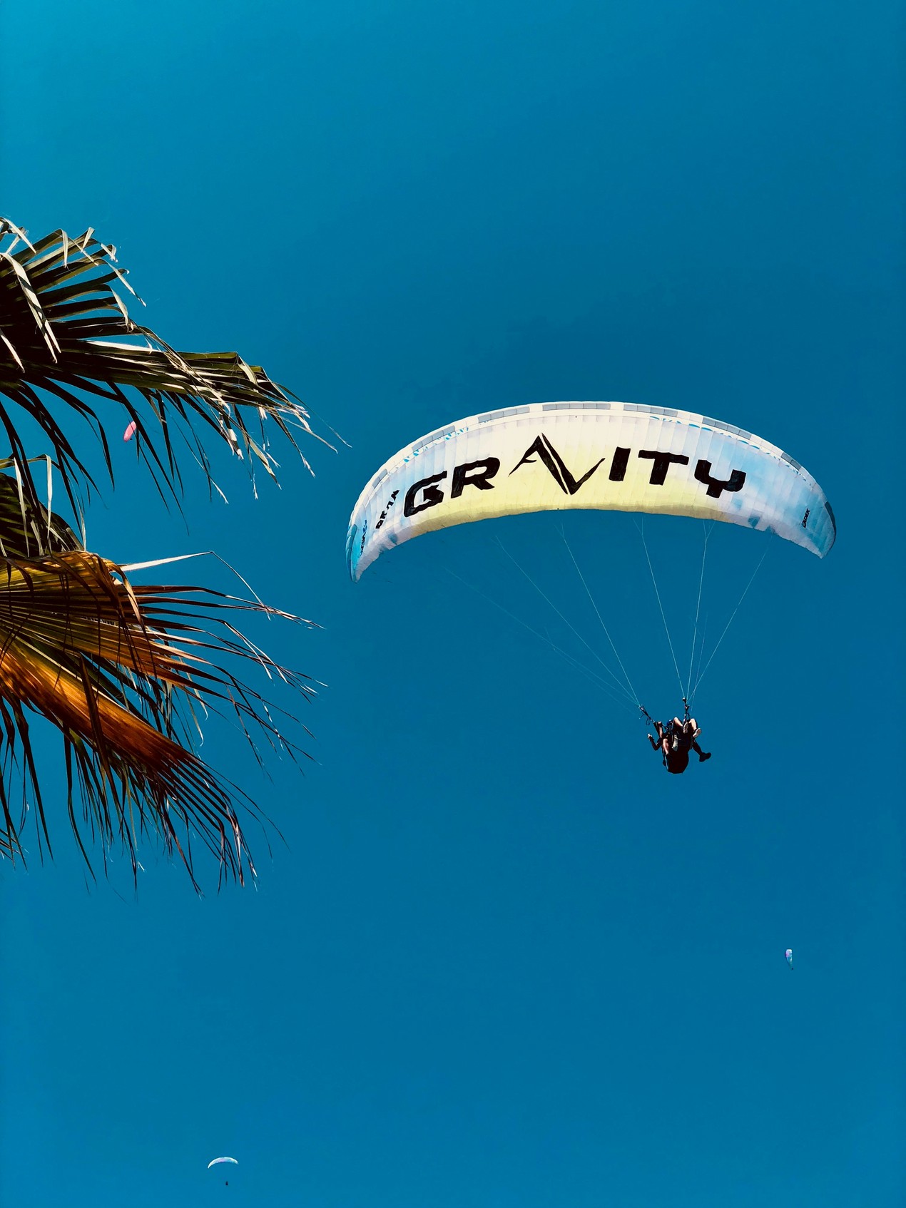 Cline vs. Google Antigravity: Choose Cline for Code You Need to Control